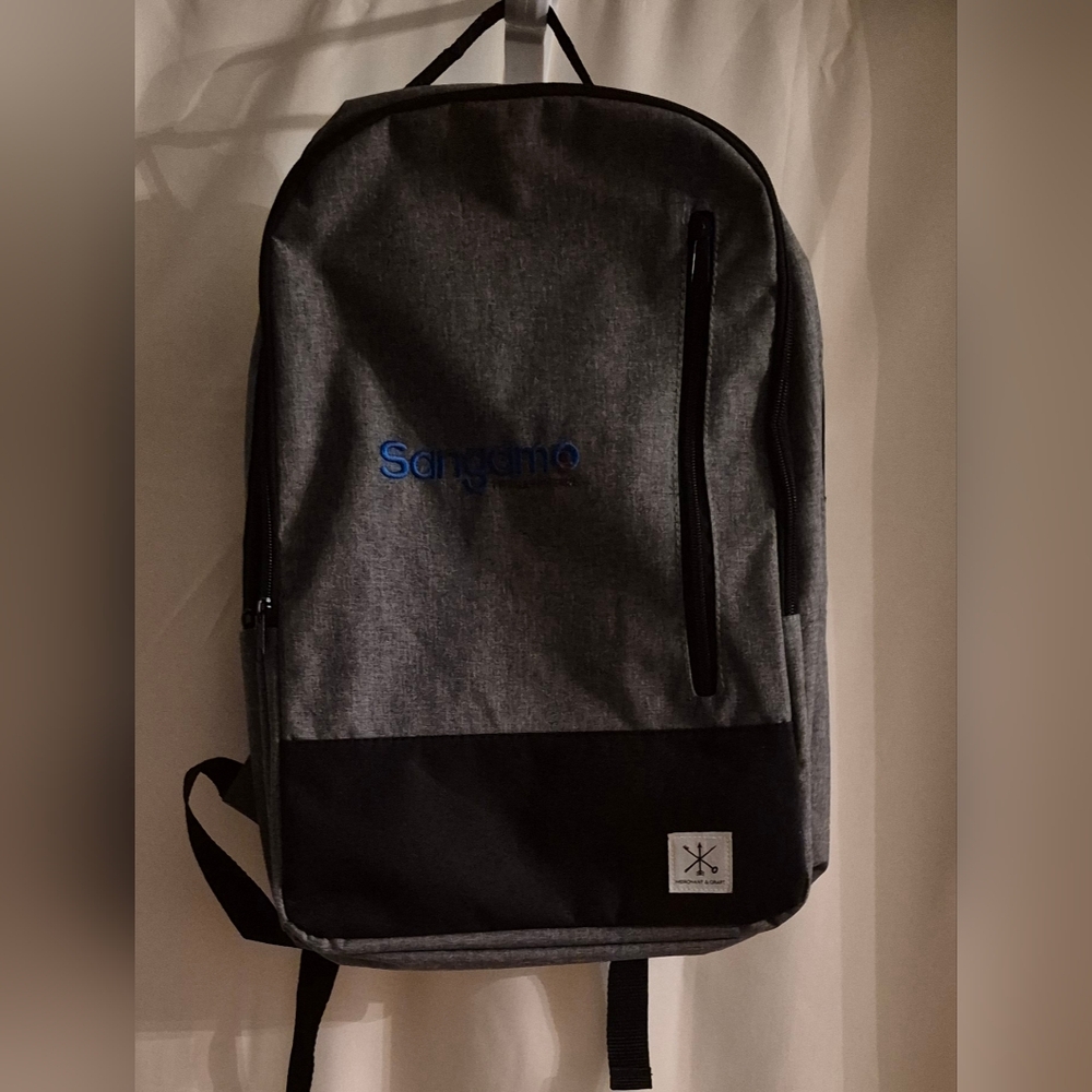 Gray and Black Men's Backpack
